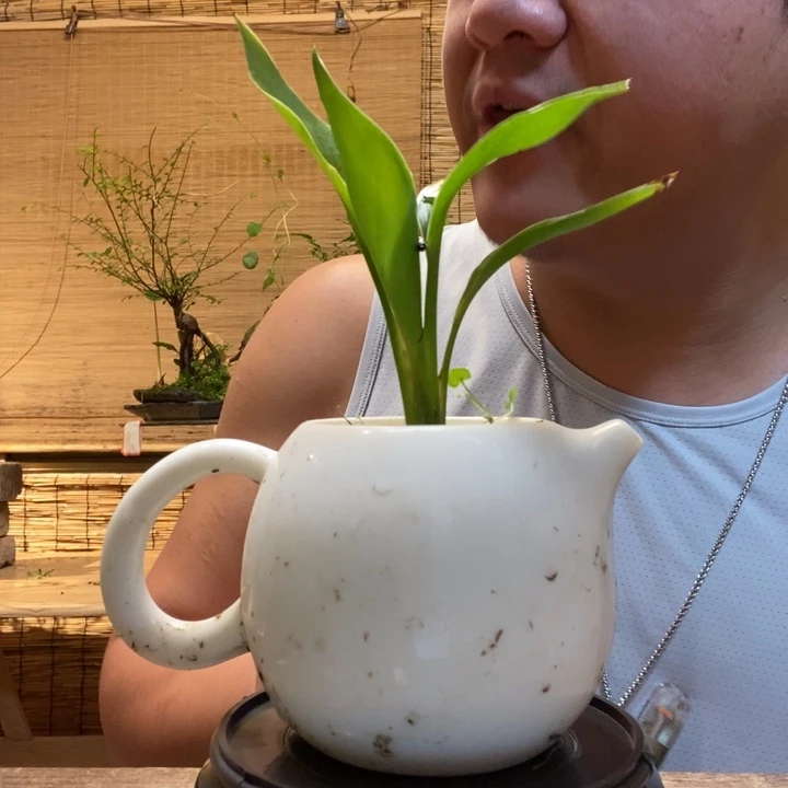 ?***虑一物一拍所见即所得223