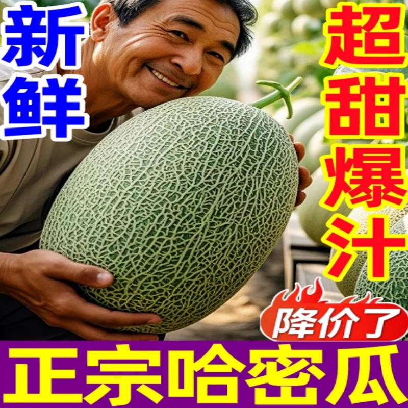 正宗哈密瓜美味西州蜜网纹瓜新鲜当季沙漠吐鲁番水果新疆甜瓜香瓜