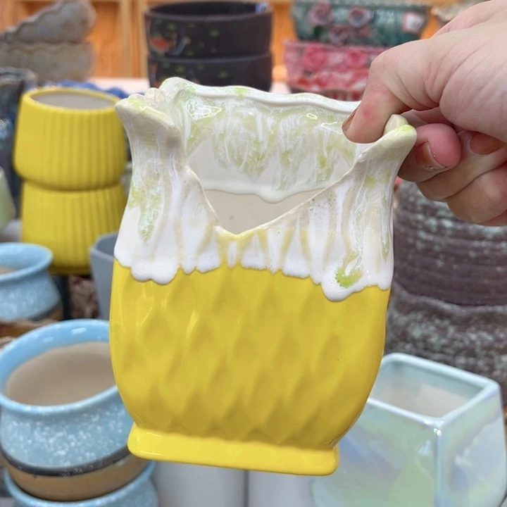 多肉植物陶瓷花盆