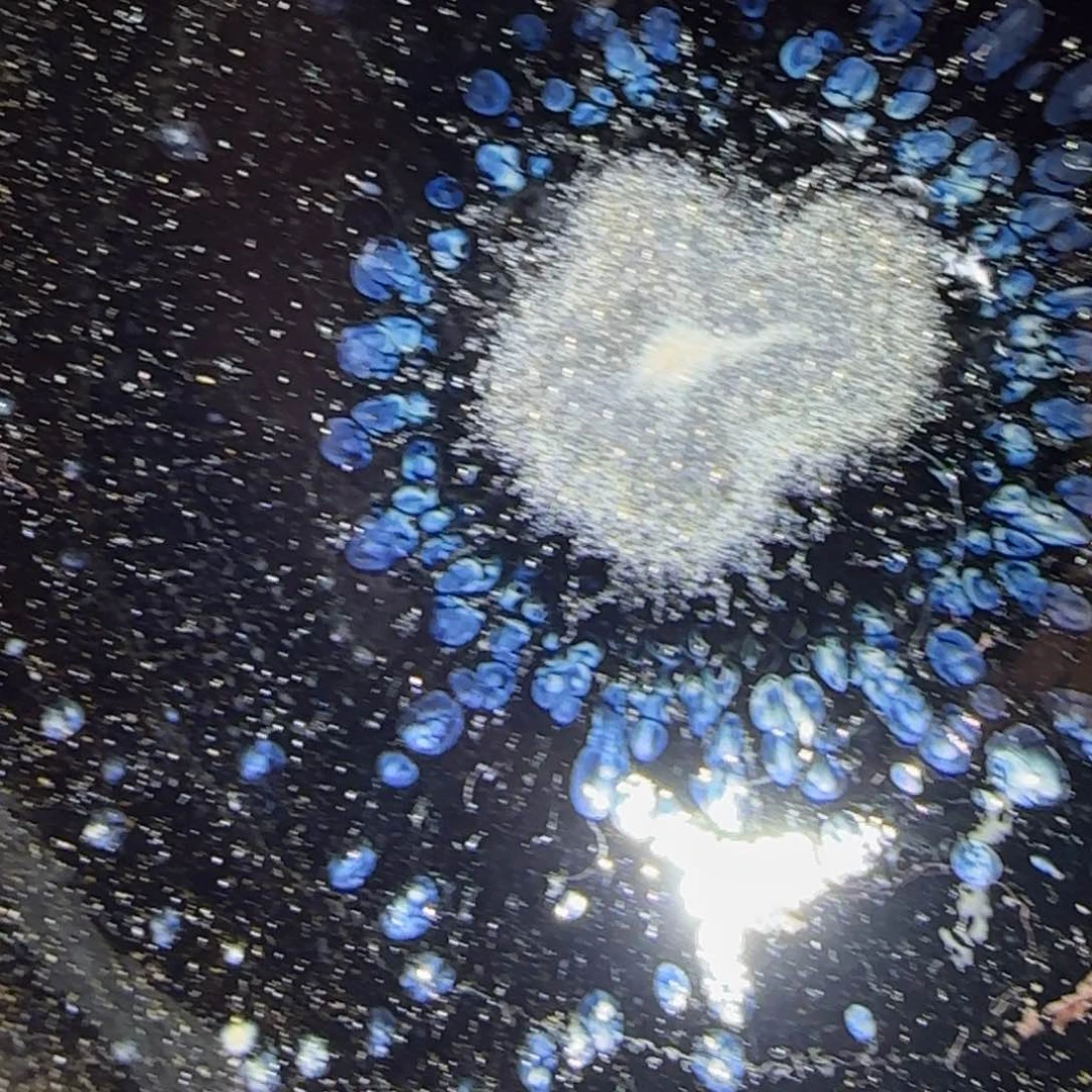 茶盏吴****9哈哈哈哈哈哈哈哈哈