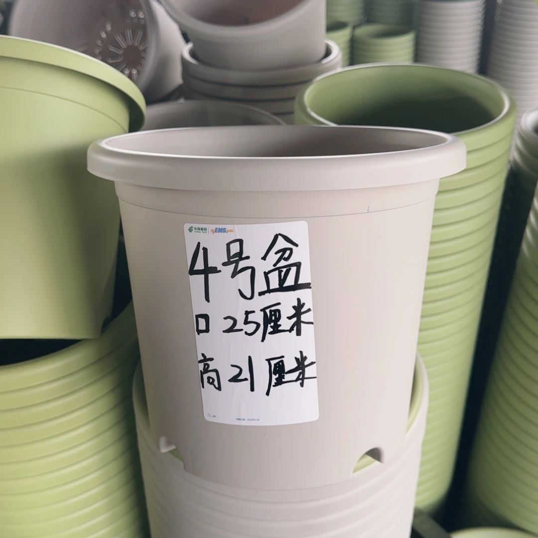塑料四季4号灰白10个无托