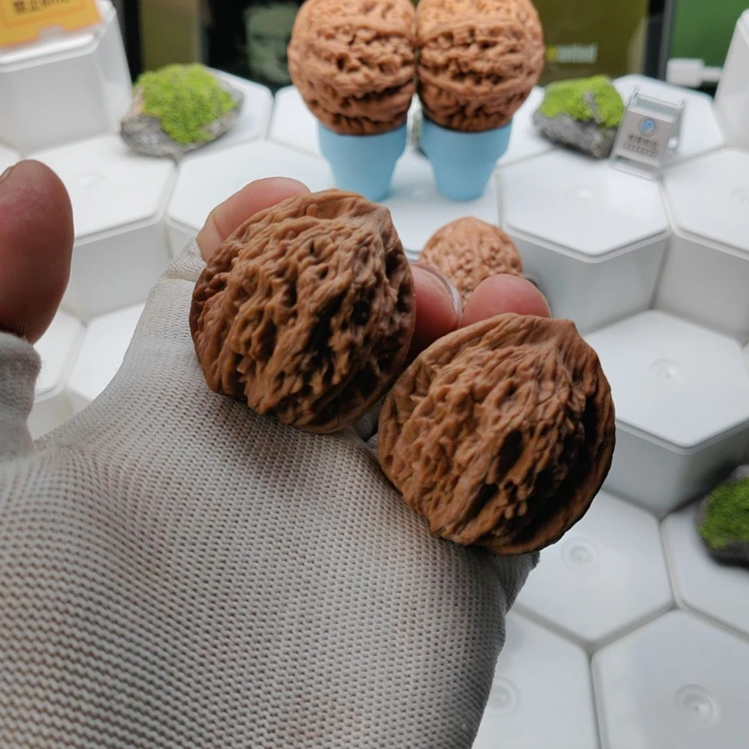 把件文玩核桃1号全品蓟县粗筋虎39+/40