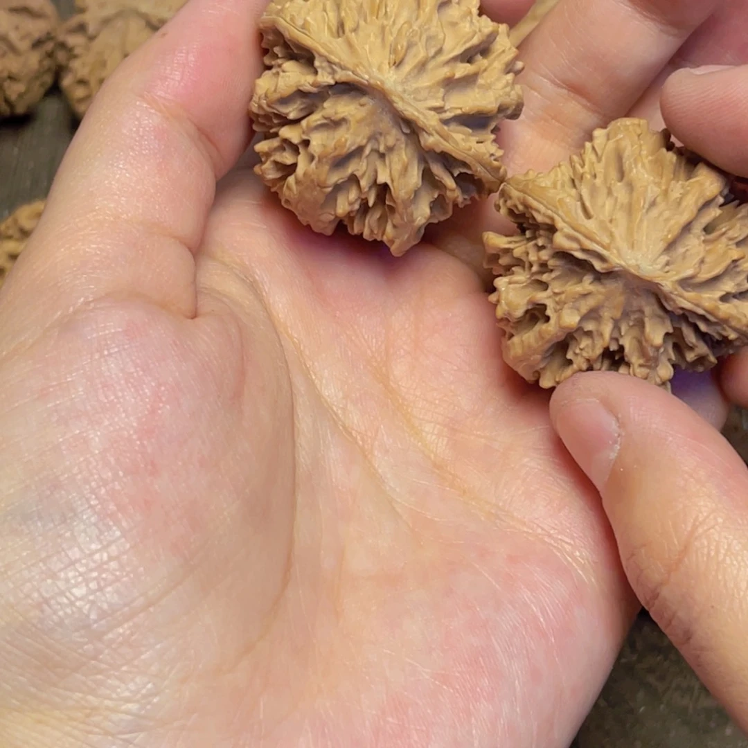 小***林桃核把件25 秦岭灯笼野生小众