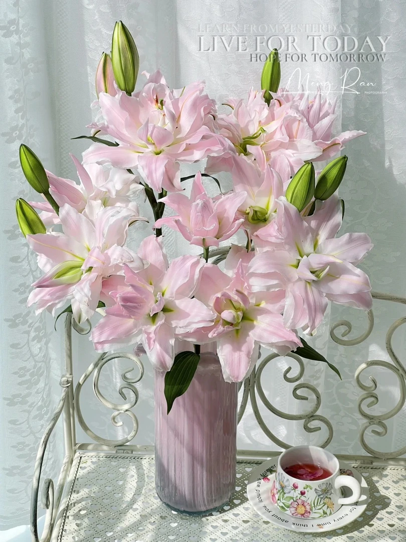 多头粉黛重瓣百合----（实物直播间为准)花艺