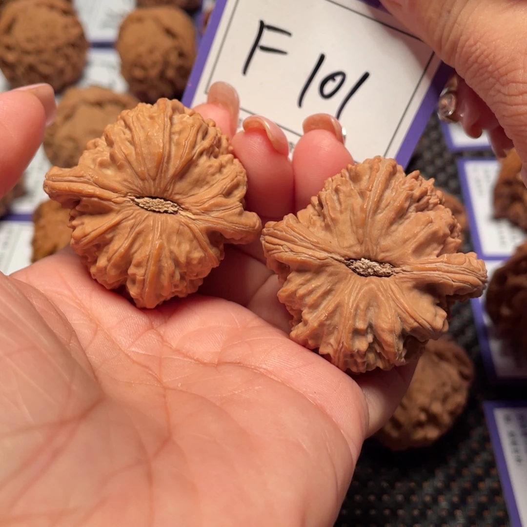 把件桃核101号白狮子42