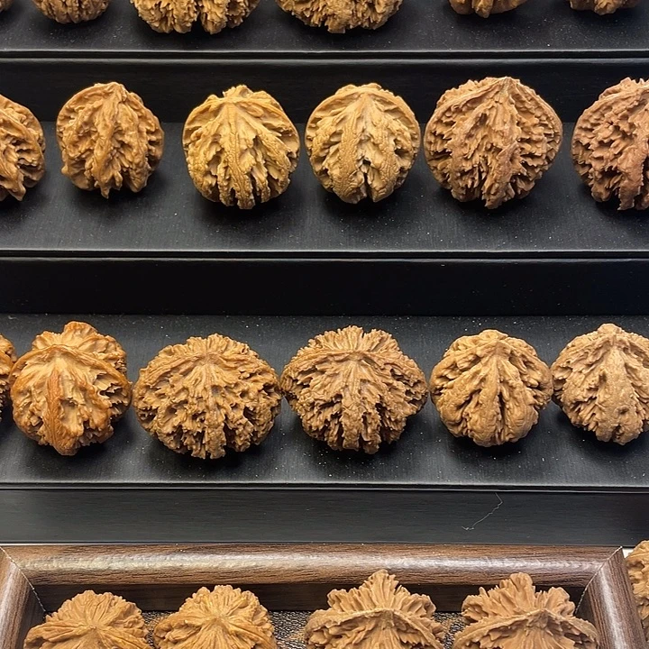 吊坠文玩核桃秦岭等地区均已发现