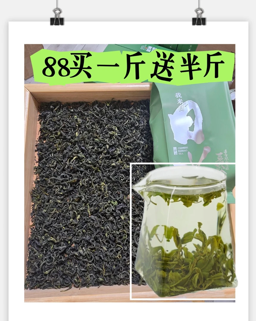 日照绿茶浓香型板栗香晚秋茶2024新茶手工炒制（精选细料）