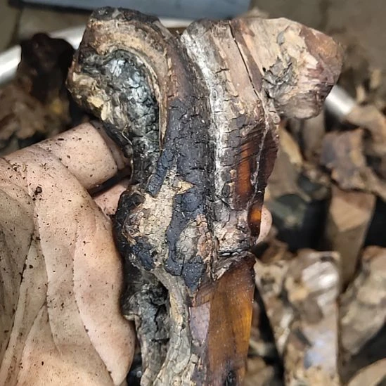 山***｝木太行山沉化麻梨疙瘩随型