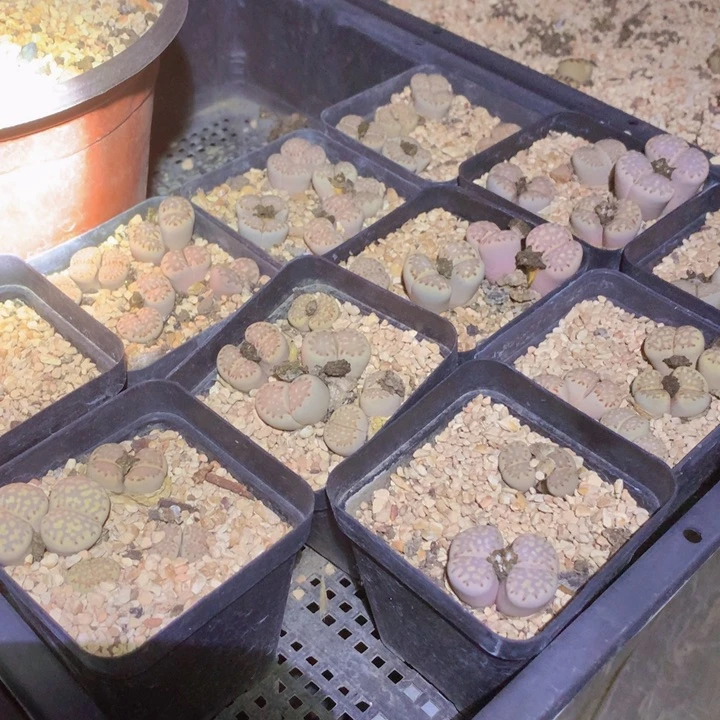 5 99。9999 99 999 99999999999