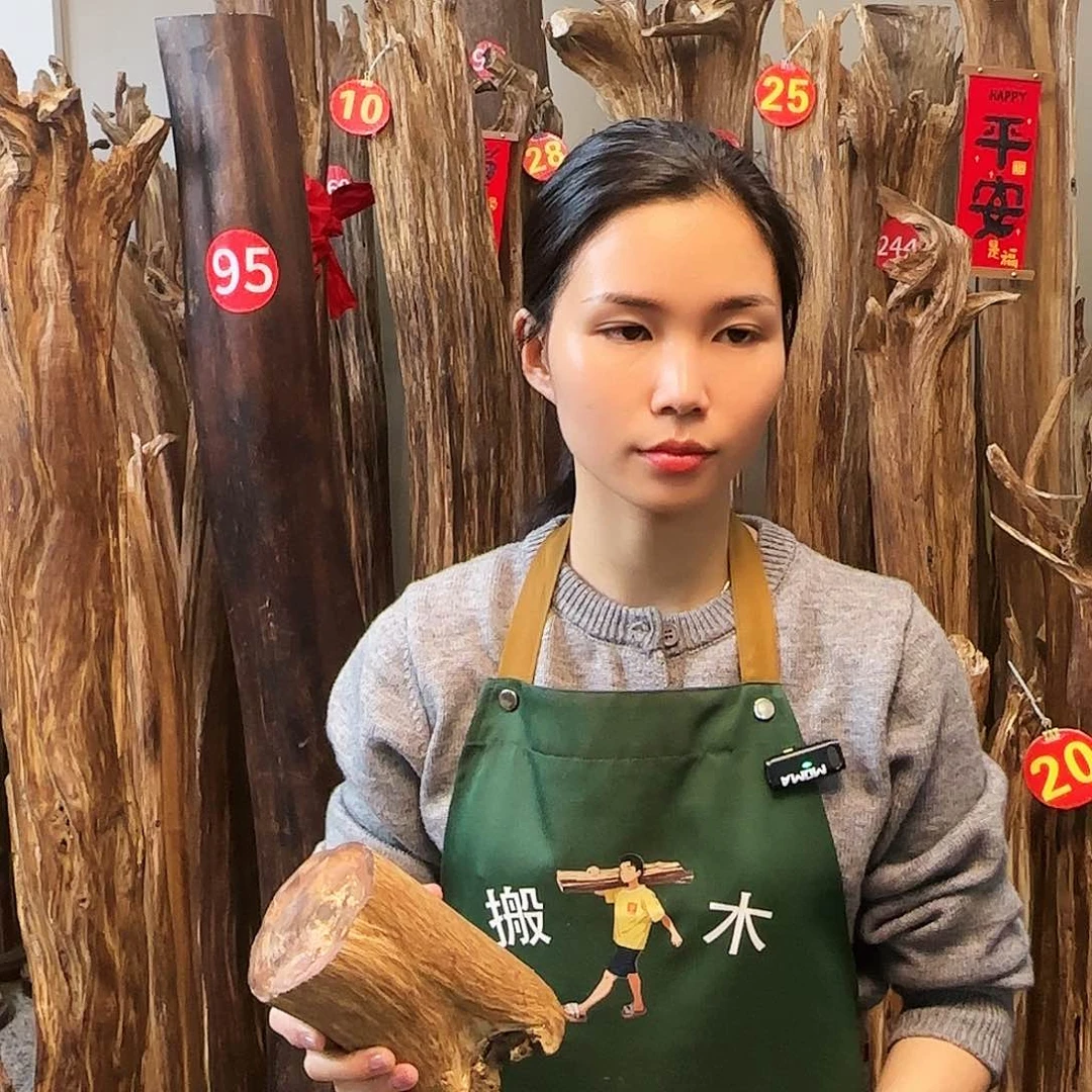 沉香摆件沉香原木工艺品摆件➕底座