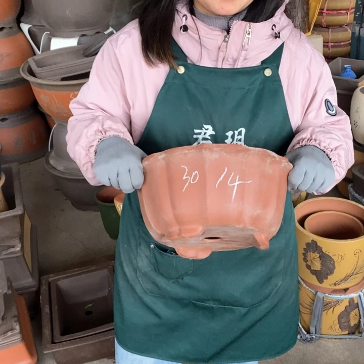 紫砂花盆盆栽花卉苗木种植