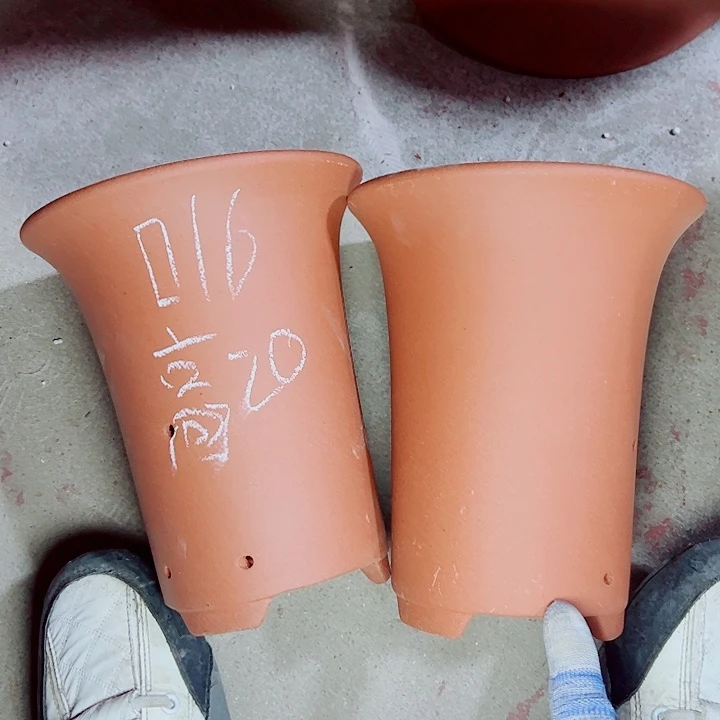 红陶紫砂紫砂紫砂