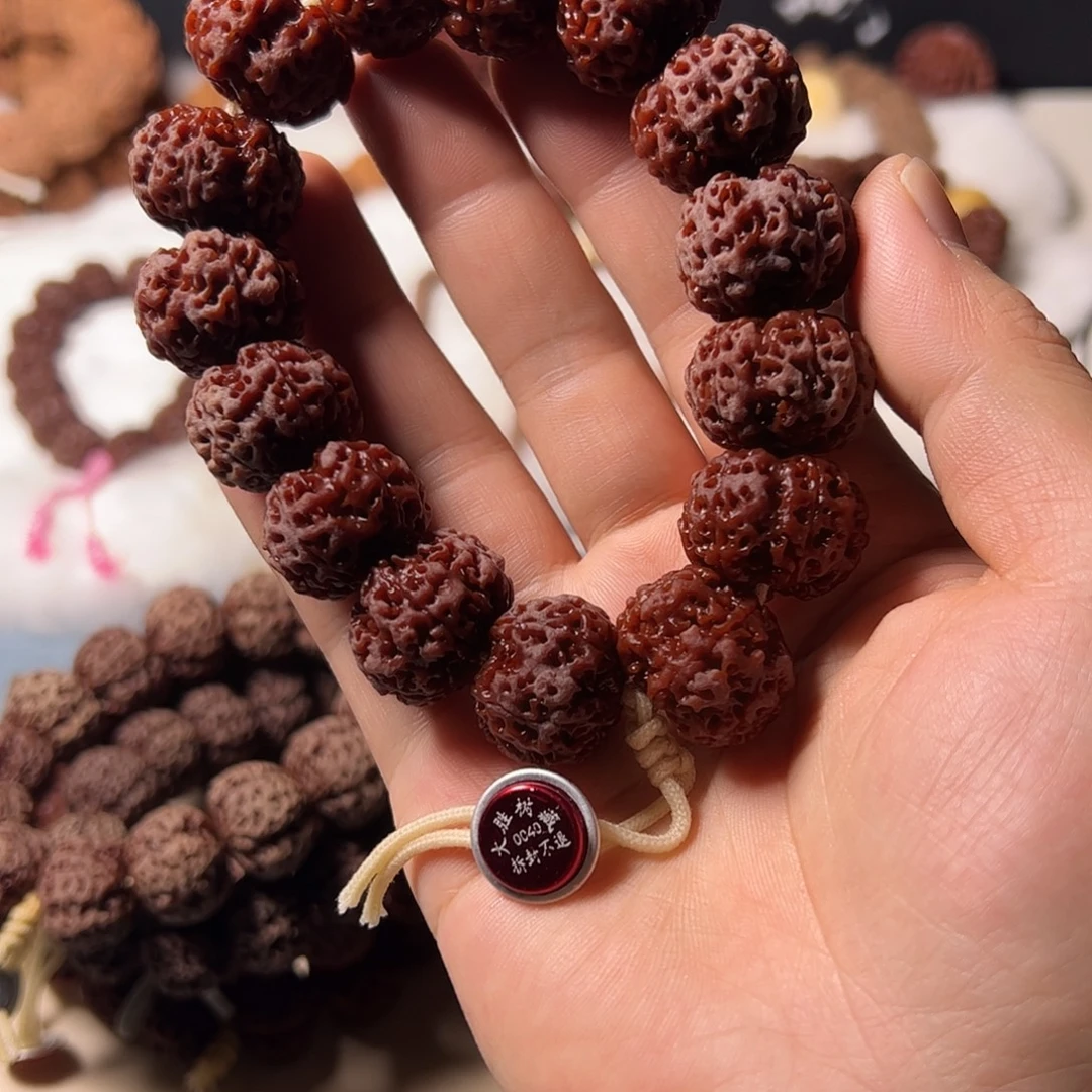 等***海手串金刚菩提梁产区天川超头毕业22