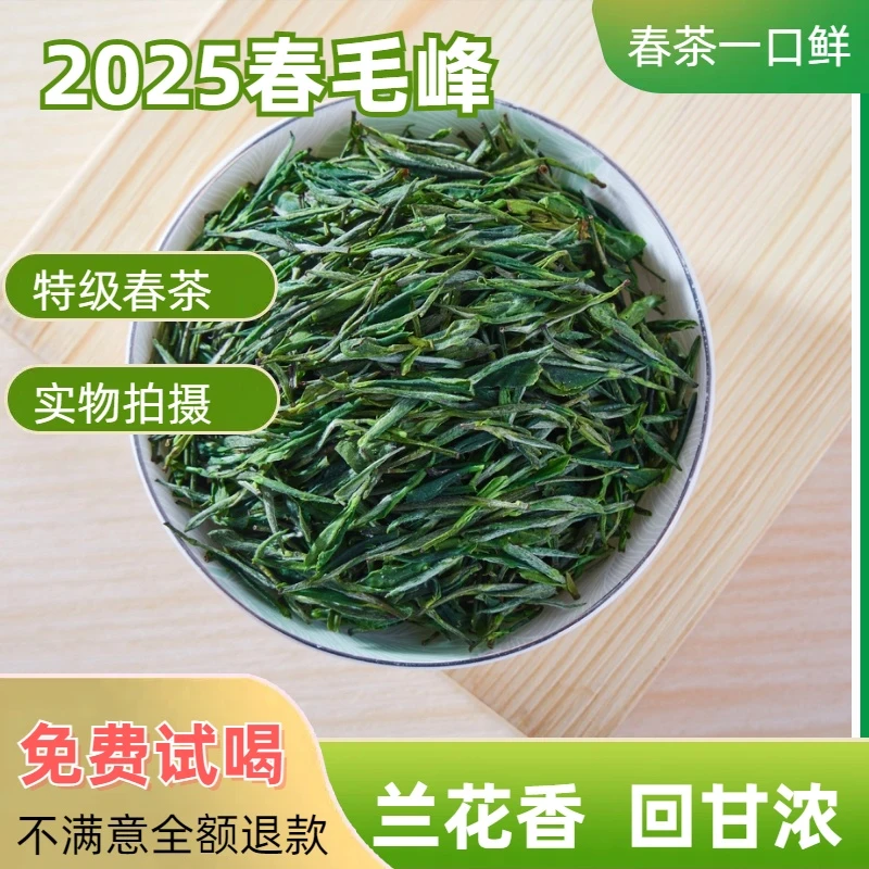2025春毛峰高山2025年云雾绿茶兰花香型手工春茶叶春茶上新新茶