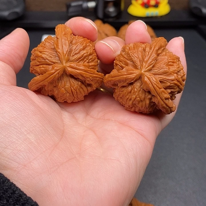 科***岛把件文玩核桃白奔