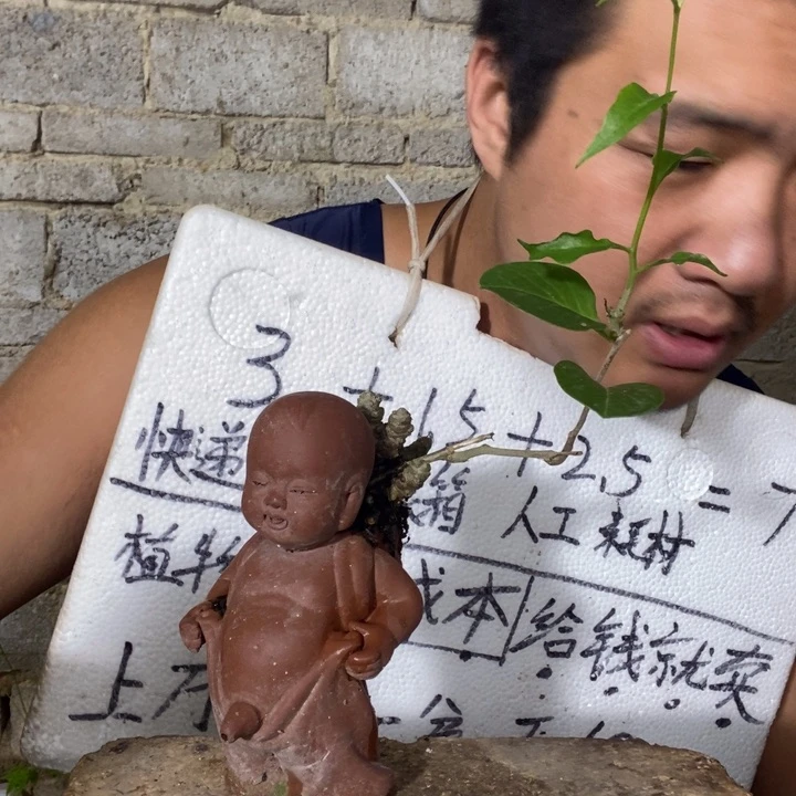 退款拉黑一物一拍177