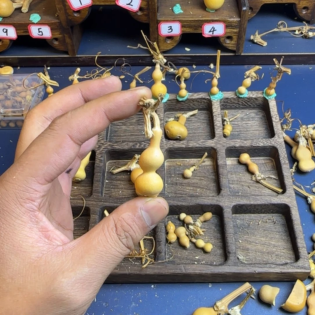 花****我也是很喜欢这个节目的呢我们