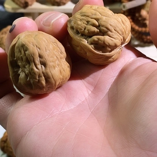 把件文玩核桃35京西金蟾