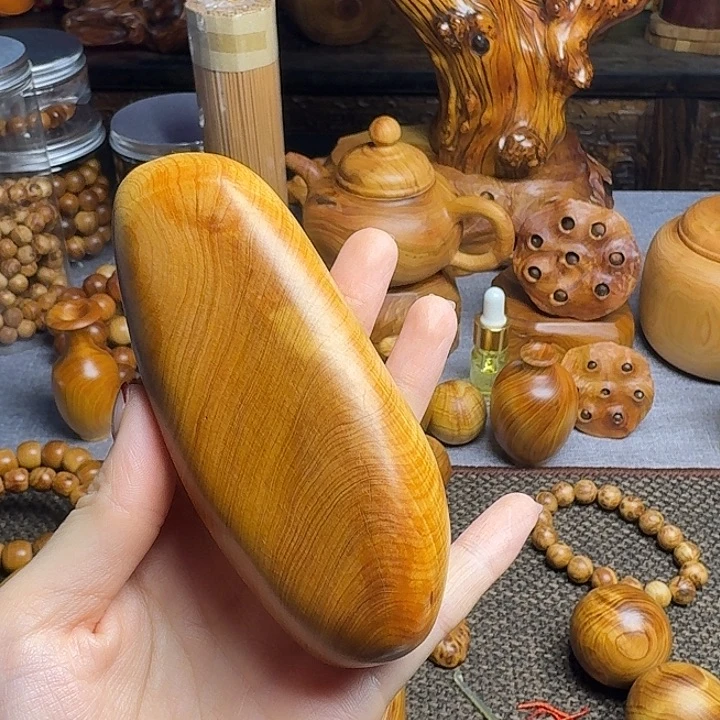 小***学柏木（崖柏）北太行崖柏