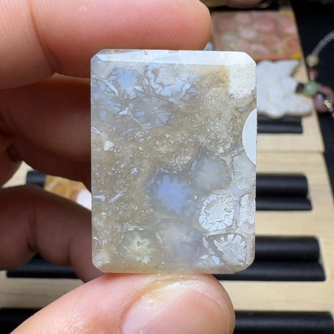 未镶嵌纯天然色有机玉石保真色硅化玉