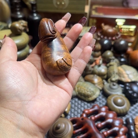 东非黑黄檀（紫光檀）食*