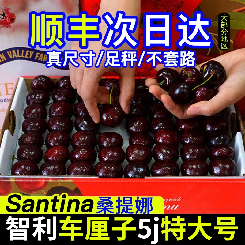 J-5J特大果顺丰海运智利进口桑缇娜车厘子礼盒内附果径卡