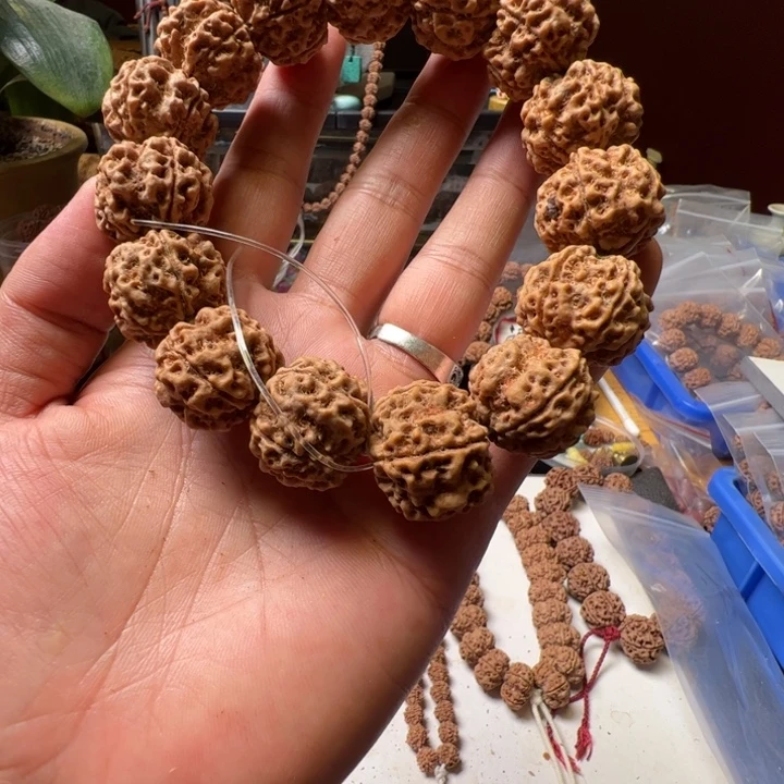 手串金刚菩提25➕姜黄福利