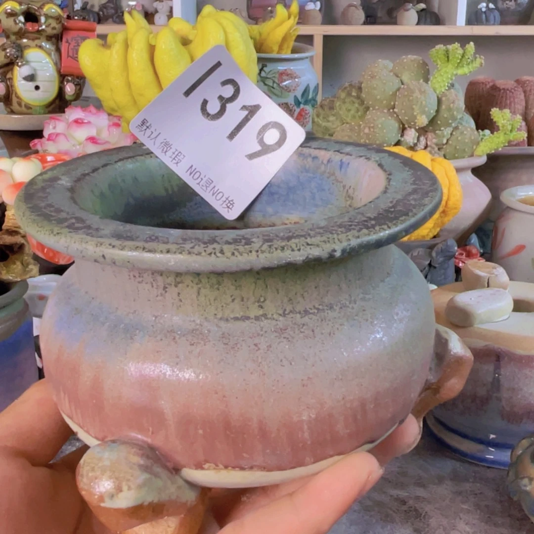 重庆小燕子欢迎大家319