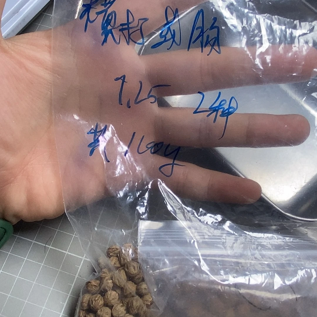 柏香籽/百香籽吊坠