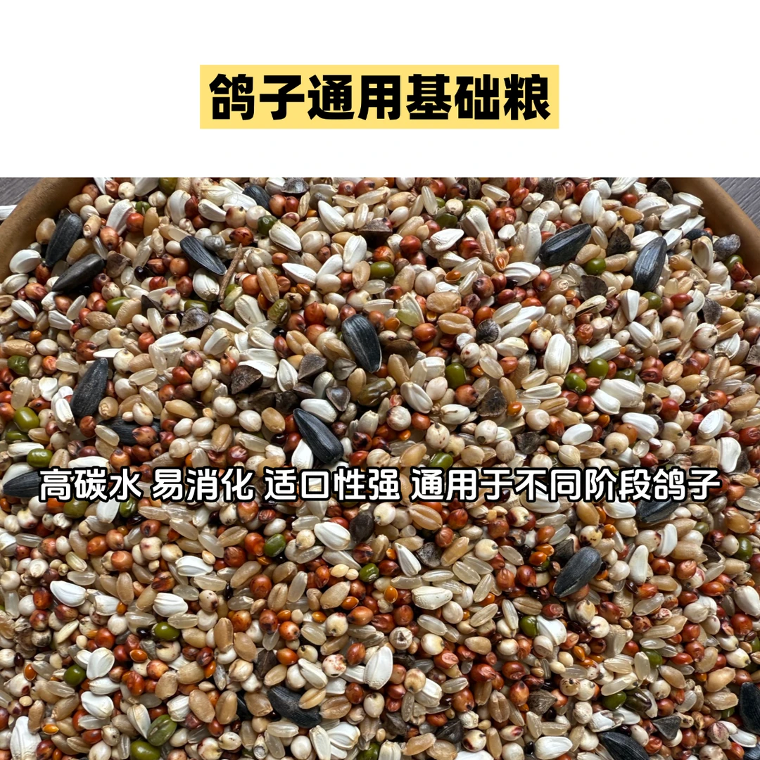 雨星鸽粮粮食鸽子专用高级通用精品基础专用高级鸽子粮食