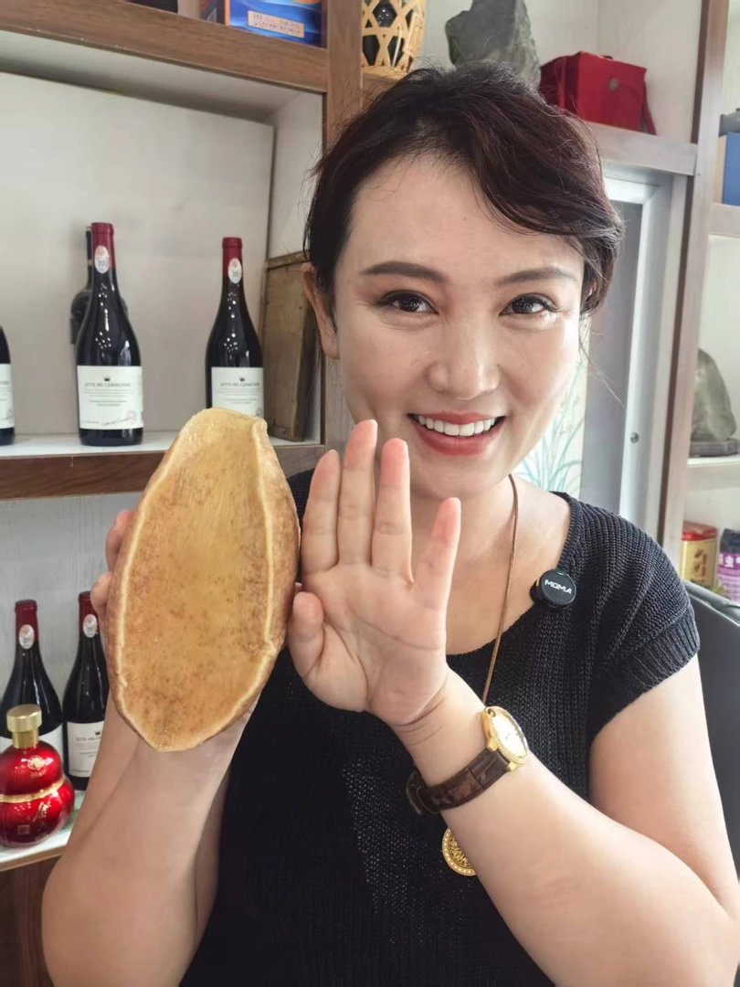 大黄金鲍去壳纯肉鲜美营养