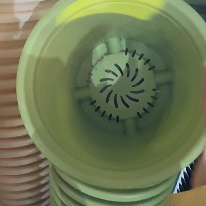 四季6号果绿无托7个特价