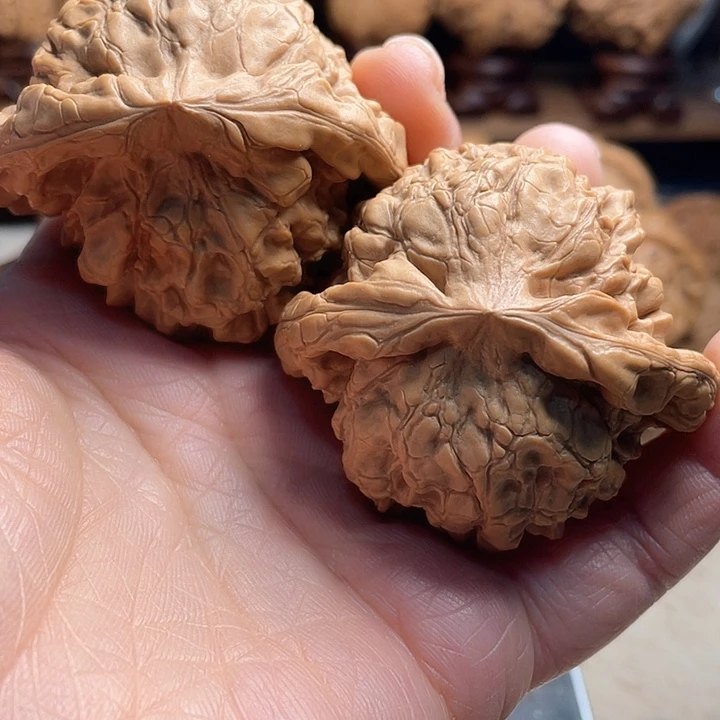 炼*师核桃核桃核桃核桃