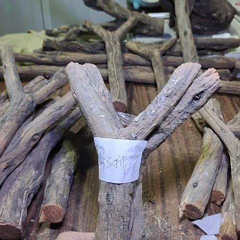 醉***作火琉璃原杈，不保沉水，慎拍！