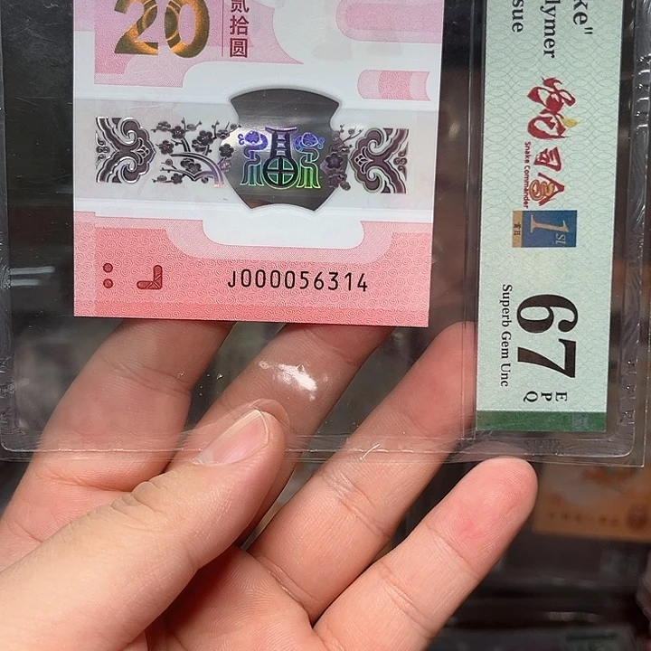 塑料蛇钞啊啊啊啊啊啊啊啊啊