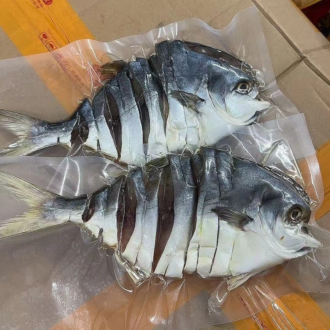 【前记精选】阳江船晒风味金鲳鱼干5条 6两~7两  (1500g)鱼干