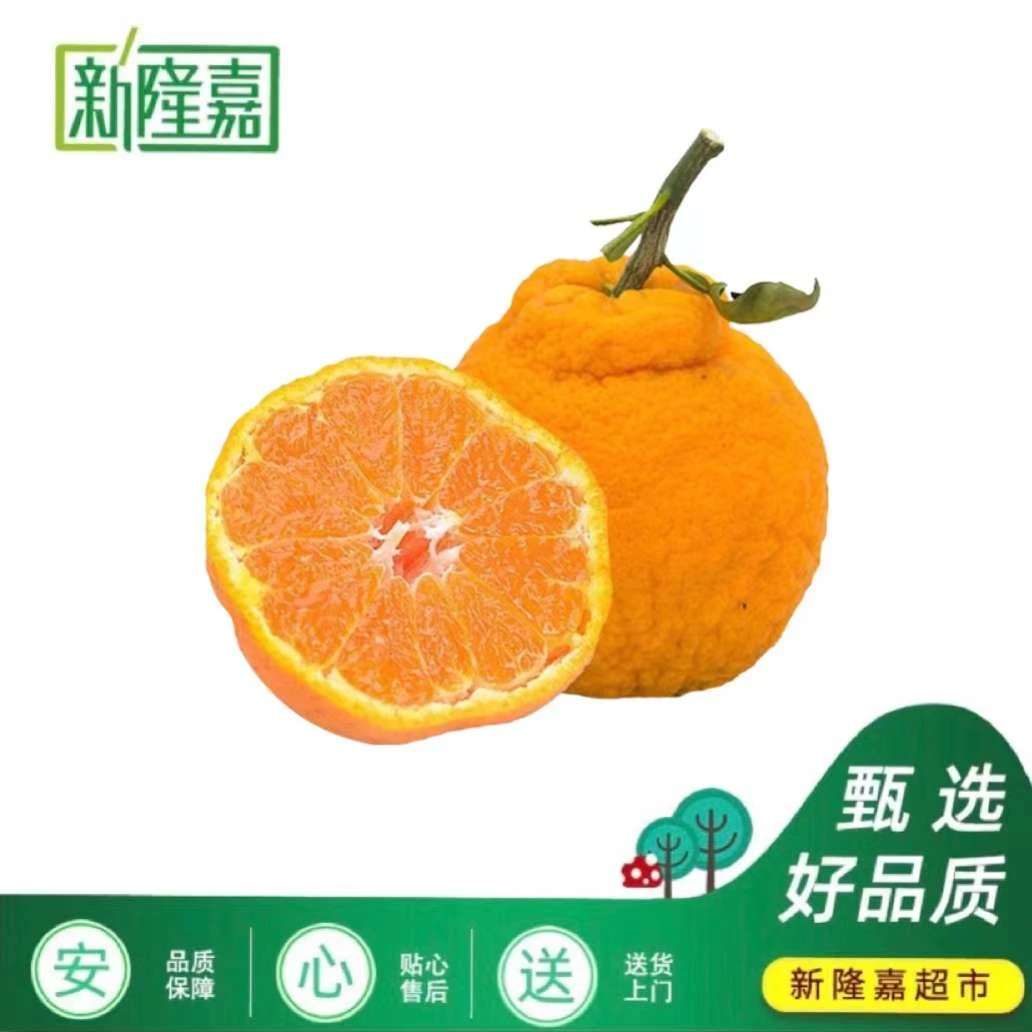 【嘉选】丑橘 约900-1000g丑柑辽宁省沈阳市
