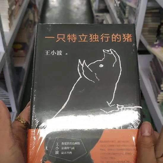 一只特立独行的猪闪购闪购8