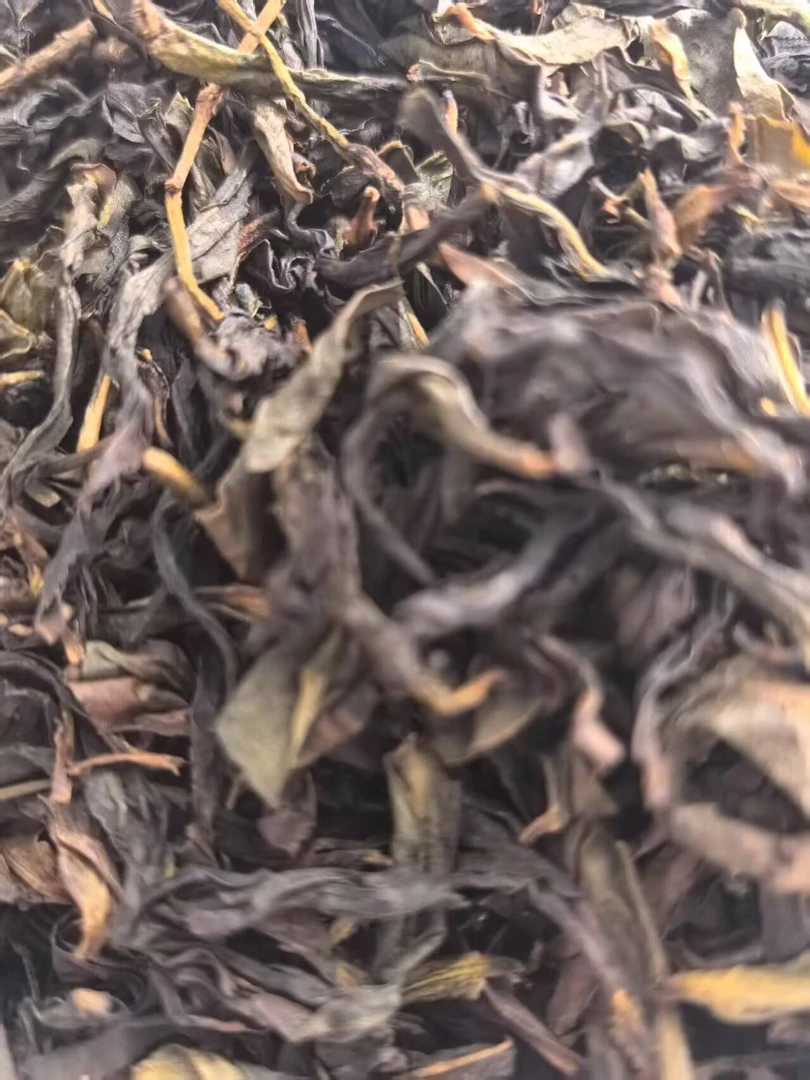 已售完）狮凤凤凰单枞高山宋种4号粗茶