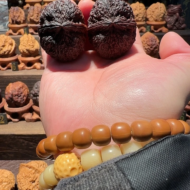 核桃花彩蛟龙元宝44尺