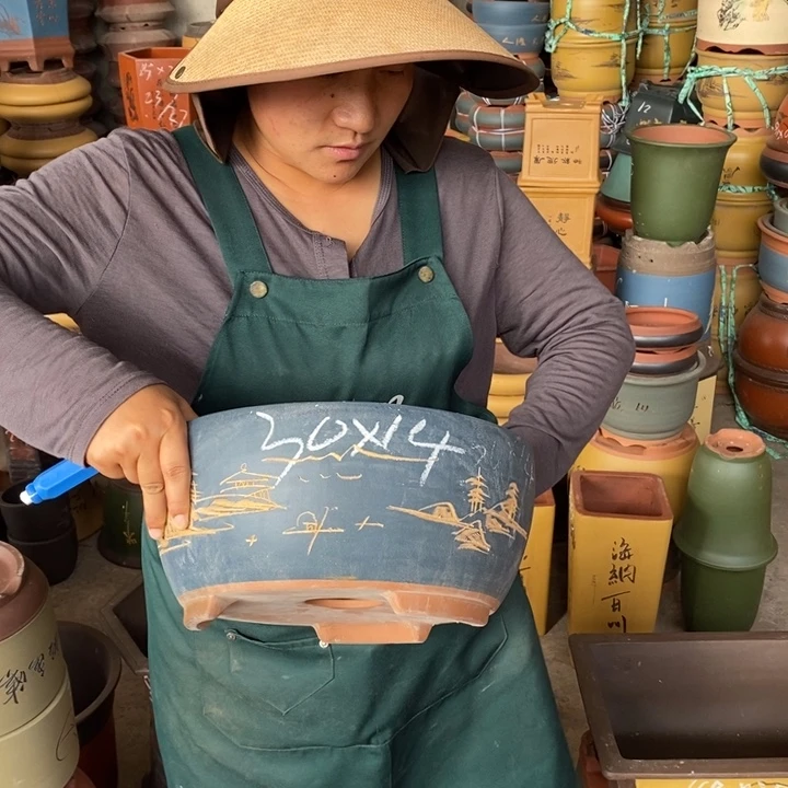 紫砂花盆盆栽花卉苗木种植