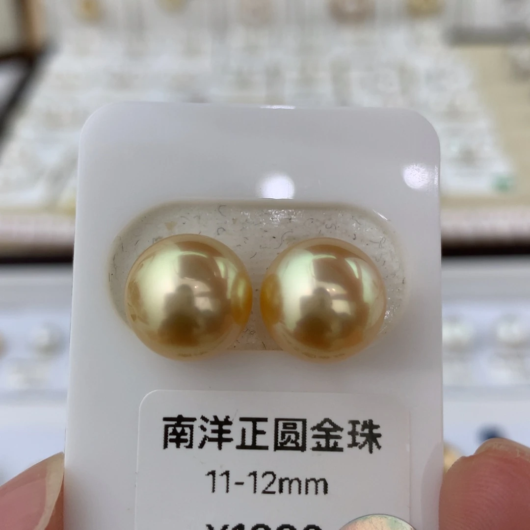 海水珍珠裸珠炫金
