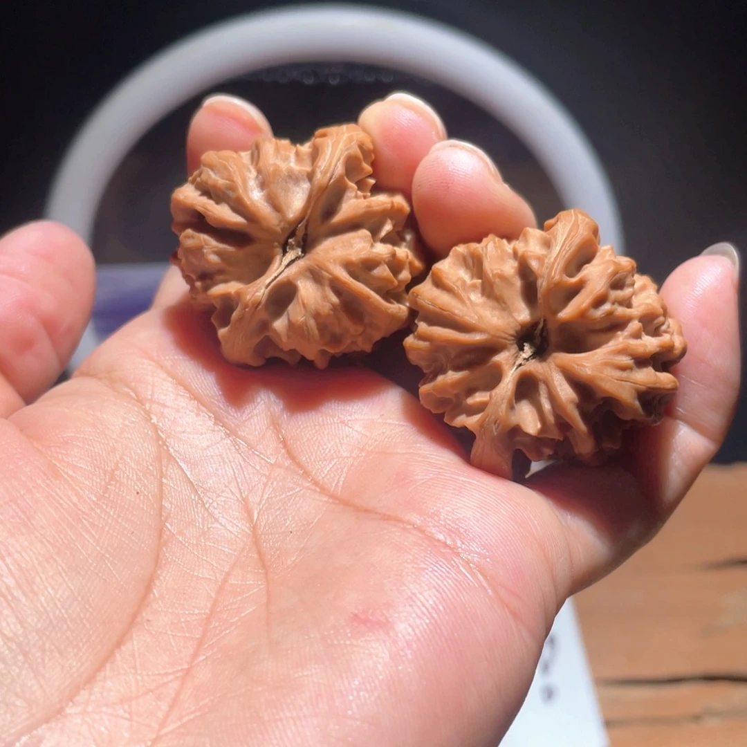 小*S006 38尺 大龙