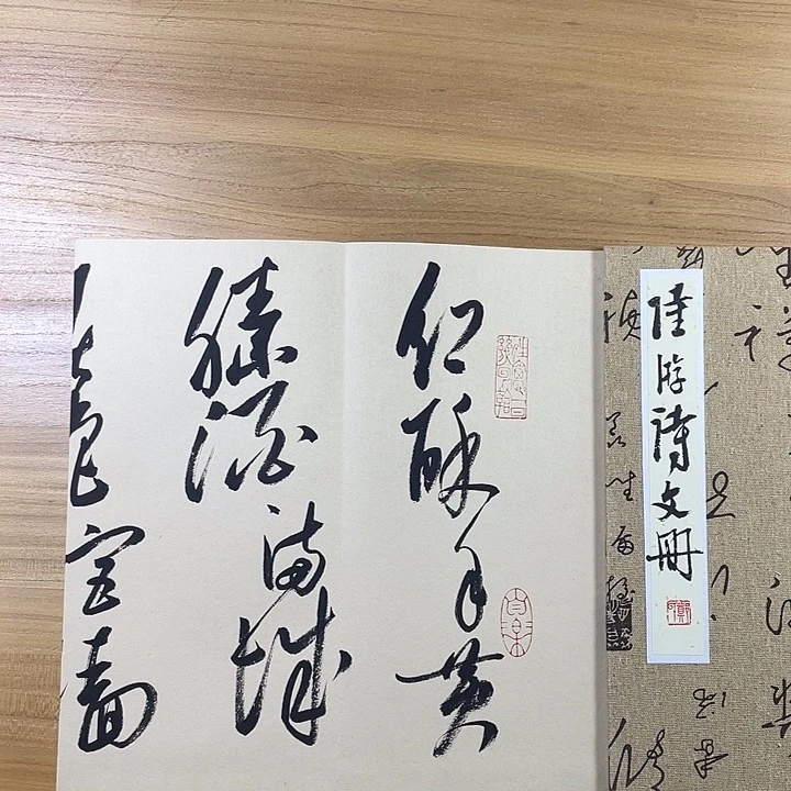 书法中书协会员作品