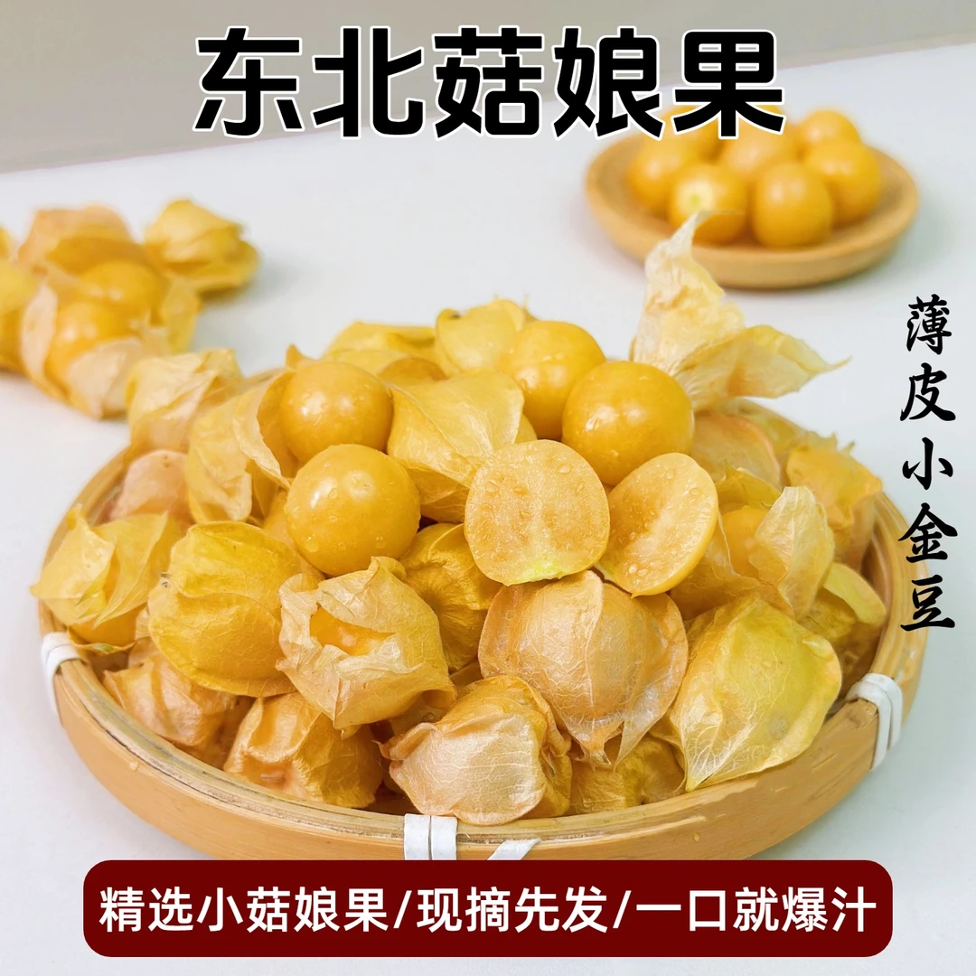 东北黄菇娘果灯笼果小金豆当季新鲜水果