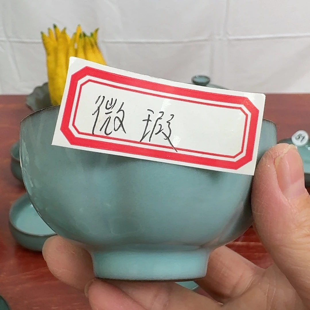 哈哈哈哈哈不错哈哈哈