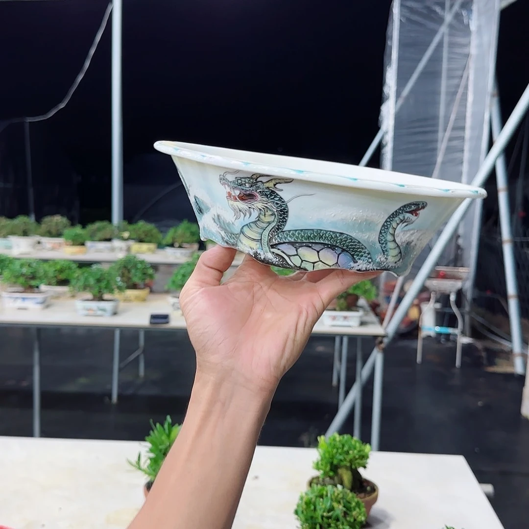 当前无花栽培后可以开花寻