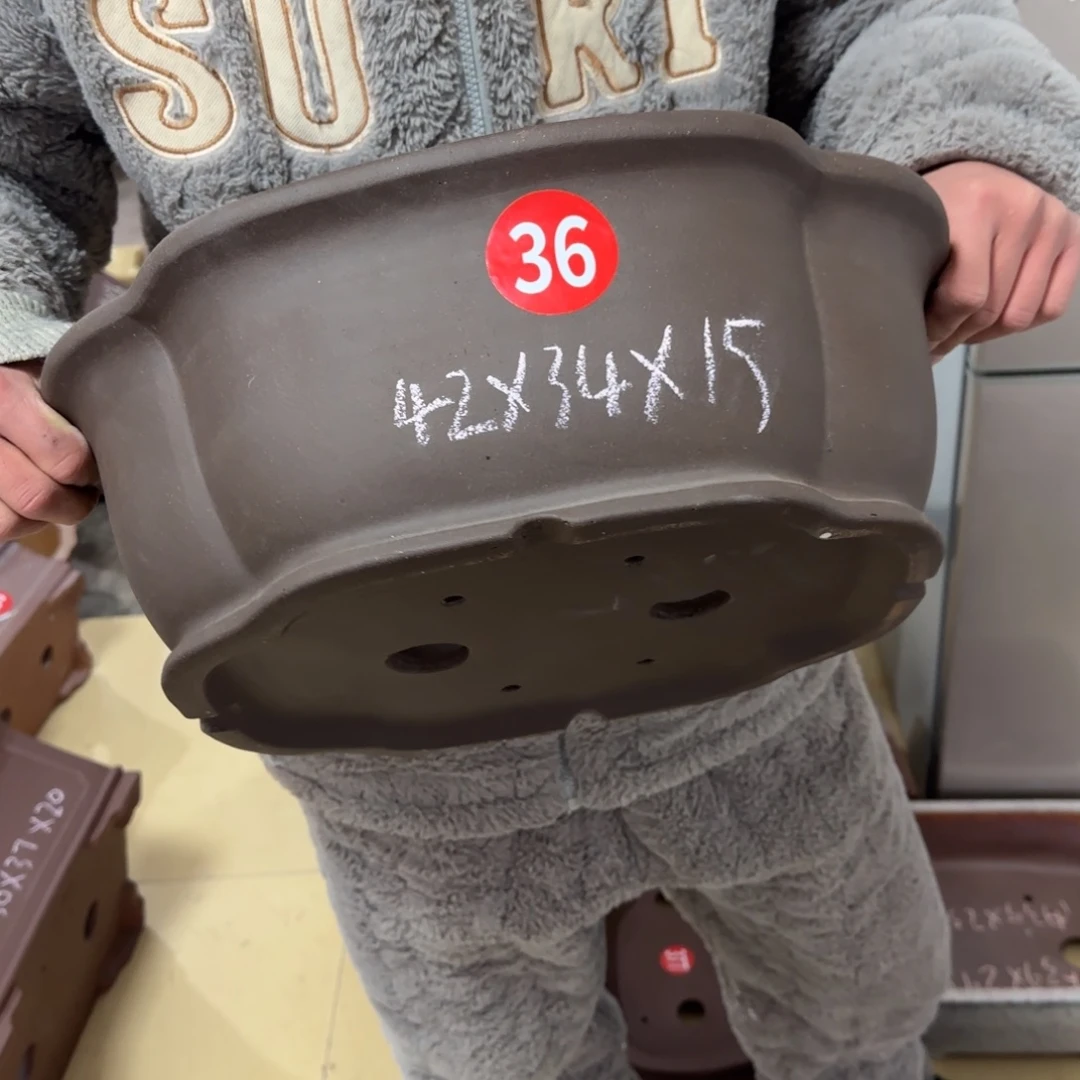 紫砂花盆呜呜呜呜