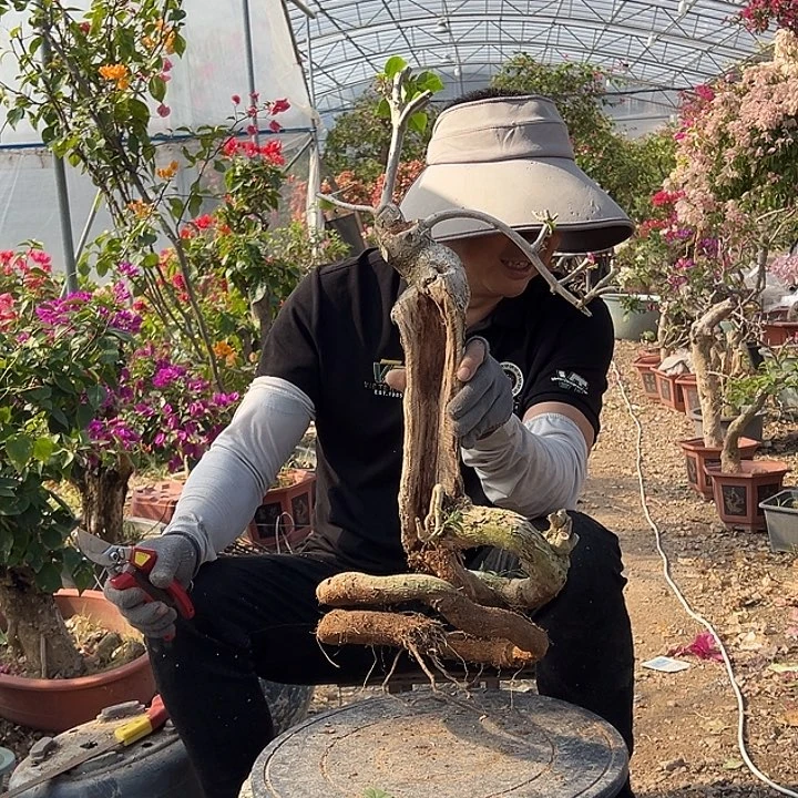 完全开放燕**?7334