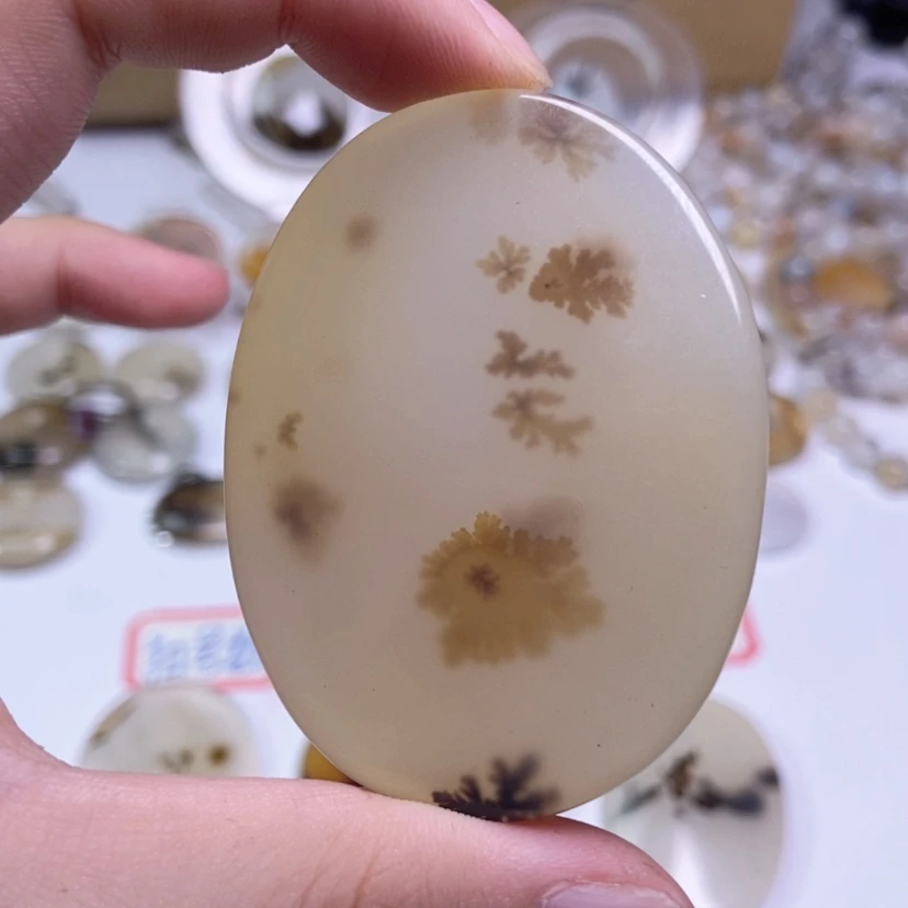 【闪购商品】玛瑙/玉髓颈饰合金